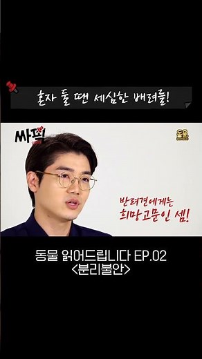 반려견 혼자 둘 때 꼭 알아두세요