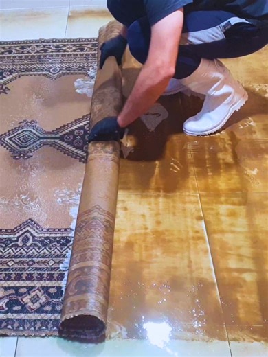 Deep Cleaning an Old Carpet ASMR | Magnus Rug Cleaning