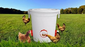 DWYIZMOT Chicken Feeder No Waste, Rain-Proof Poultry Automatic Feeder with Lid Gravity Feeding Kit 4 Ports -1 Holes Saw Buckets, Buckets, Boxes and Slots