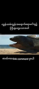 172K views · 2.9K reactions | Success Your Life on Reels | Facebook