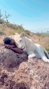 📍Kilimanjaro Region, Tanzania🇹🇿 Discover the wild beauty of Tanzania at Serval Wildlife. book your adventure today! 🎥: Servalwildlife | AFRICA IS HOME