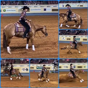 221 for Tish Fappani and JOES GENES in the 2020 NRHA Non Pro Futurity FINALS! Taking the lead of the Lv 3 and 2nd in the Lv 4!!!!!!! #MillionDollarSire #LJC #LilJoeCash | Lil Joe Cash