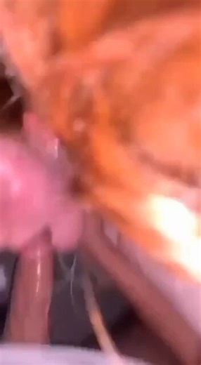 Somebody's perfect little daughter turned into a cock hungry slut #nsfwtwt #nsfwacc #nsfw #freeuse #breeding #cnc #cheatingkink #somno #bwc #cumwithme