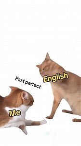 24K views · 534 reactions | နိုင်ငံခြားထွက်ချင်နေသောမိမိနှင့် မိမိ၏အင်္ဂလိပ်စာ.. #LearnMyanmarBook | LearnMyanmar Book - LMB | Facebook