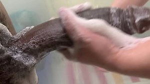 Sexy Petite Blonde Step Sister Called Step Brother To Bring Her A Towel In The Bathroom And This Happened