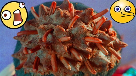 OMG!! Lot Of Worms Removal _ Dandruff Scratching #43 #ticks #removetick #Dandruff #dandrufftreatment #dandruffremoval | Giant 2.0