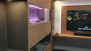 9.7K views · 48 reactions | Here at Creative Design we don't just build furniture.... We sell CREATIVITY!!!  A walk thru of our 2 level aquarium cabinet and TV rack❤️ Built and designed by Creative Design Client: Kevin Emmanuel Pagdanganan Pagsibigan #interiordesign #furniture #aquariumdesign #Aquarium #aquariumtank #aquariumfish #aquariumhobby #tvrack | Creative Design | Facebook