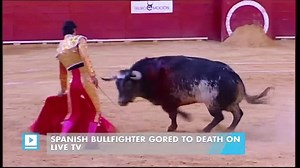 Spanish bullfighter gored to death on live TV