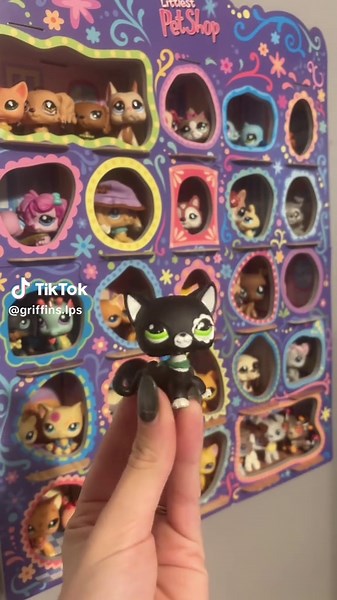 Griffin on TikTok