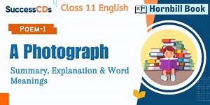 A Photograph Summary, Explanation, Word meanings Class 11