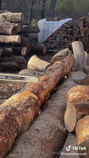 Back 40 Firewood on TikTok