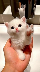 15K views · 522 reactions | Si tú no cambias, nada cambia. La Biblia...