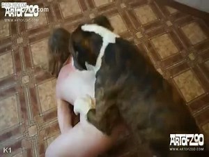 Elle galoche avec un chien avant de baiser avec
