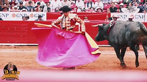 #Novilladas Rafael Soriano La Plaza Mexico #Toros #FiestaBrava | Imperio Informativo.