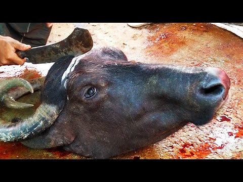 Amazing Cow Head Cutting and Cleaning ।। How to Cut Cow Head ।। Full Cow Head cutting ।।