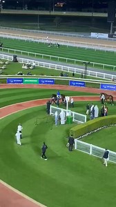 L'hippodrome de Meydan 🇦🇪 dans toute sa splendeur. Video sent to us by one of our followers who is attending races there tonight. | Mauritius Turf Passionates
