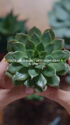 Cute Date Night / Girls Date DFW 📍Come learn how to make your own terrarium - pick from a mossy-style forest terrarium workshop or make a succulent terrarium. 🪴Mossy Forest Terrarium Making 🗓️7/13 more 📍Craft and Growler Brewery Dallas more 🌿Succulent Terrarium Making 🗓️7/12 more 📍Celestial Beerworks more Find event and tix on Hoamsy via bio 🎟️ Comment “Hoamsy” to be Dm’ed the info. Details: Mossy Forest Terrarium Making 🤎 Learn about fern potting, care, and propagation so you can keep 
