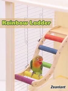 Bird Perch Stand for Claw Trimming and Beak Grinding - Anti-Slip Colorful Climbing Ladder - Natural Wood and Resin Bird Cage Accessories for Parrot Budgies Parakeets Cockatiels Conures Lovebird