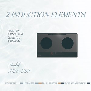 [Hot Item] Induktionskochfeld Induction Cooking Plate 2 Burner with Adjustable Temperature Control, Ceramic Glass (Dual Zone)