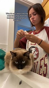 440.Like shes always with me for some reason and im allergic #cats #makeup #getreadywithme | Katelyn Ernst