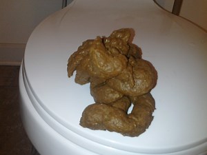 Shitting on toilet lid