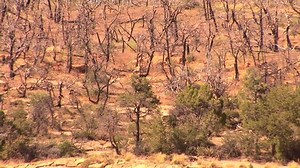 Mesa Verde National Park: Stockvideos & Filmmaterial (100 % lizenzfrei) 5193776 | Shutterstock