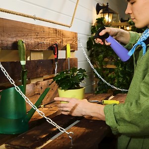 Crafting Multi Functional Vertical Garden Using Pallets | Green Bean