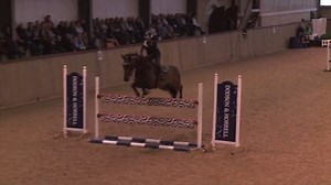 ✨✨for sale✨✨ Candy 763 is a 2010 Holsteiner mare (Candiro x Corrado I x Calypso I). She is talented and scopey and won at the 1.45m this winter on the Sunshine Tour. Huge stride and adjustable. Recent top placings in the U25 at Hickstead with Noel Fauntleroy. Suitable for junior, amateur or professional. Please email for more info. | Lauren Hough