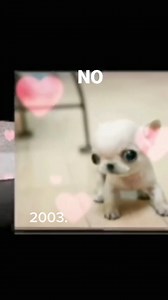 21K views · 266 reactions | Dile que tú me quiereeeeeeee ‍ | Rolas | Facebook