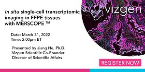 In situ single-cell transcriptomic imaging in formalin-fixed paraffin-embedded (FFPE) tissues with MERSCOPE
