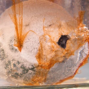 199K views · 168 reactions | How to fill eggshell with epoxy Thanks for watching! Please be aware that this video is for entertainment purposes only and techniques shown should not be attempted at home! | Handy Panda | Facebook