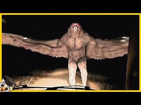 100 Criaturas Mitológicas Captadas En Cámara