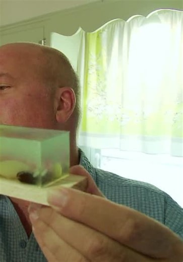 Bizarre Foods America S02:E10 - Portland