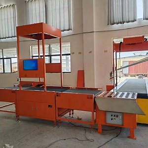 [Hot Item] Advanced Swivel Wheel Sorter for Streamlined Warehouse Operations