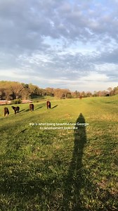 Save Maysville: Protect Rural Georgia from Data Center Development