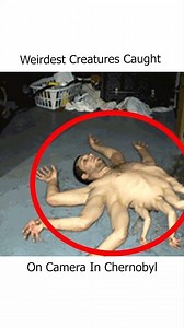 Weidest Creatures Caught in Chernobyl | Safari Sarraah