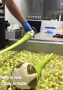 1.1K views | Here is how candy is made | Literary Quotes | Facebook