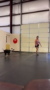 Sweet adoptable Macy is so smart - check out these sweet moves with BBBR Staff Member Rhonda! | Boise Bully Breed Rescue