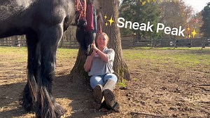 My video on Passive vs. Proactive Mindsets is now available in the Liberty Library on the Braveheart Beasts Network! Check out the full video and many more through the link below! Extra credit to Mateo for his guest appearance in this one 😂💕 https://braveheart-beasts.mn.co/plans/291366?bundle_token=153dc40f83b3d3fb984bfc7fd97f1236&utm_source=manual Pictorial Tales Photography #espanasilk #triplecrownfeed #boncheval #braveheartbeasts #libertyhorse #connection #libertylibrary #braveheartbeastsne