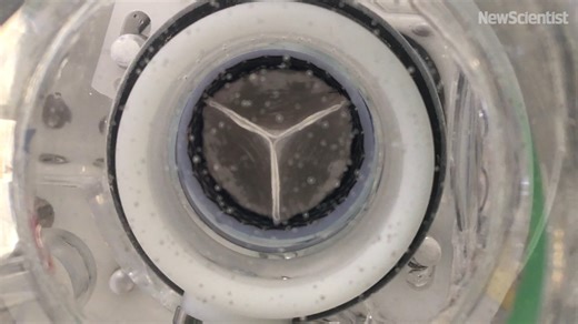 6.7K views · 109 reactions | Researchers at Harvard University have...