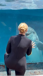 Dolphins are enjoying their playtime #cute #dolphins #happy #theylovetoplay | Travisandcousins