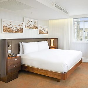 [Hot Item] Professional High End Hotel Hilton London Hyde Park for Sale