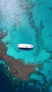 59 reactions · 4 comments | Egypt  | Egyptian girls | Facebook