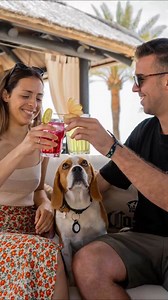 6.7K views · 62 reactions | ☀️ The BEACH CLUB  #papagayobeachclub #tenerife #arona | Papagayo Tenerife | Facebook