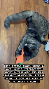 Jose Raymond 乔立盟 on Reels