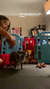 AZ Micro Mini Pigs on Reels