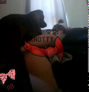 Strayx Fun Woman Gets Up To Get Hot With Her Dog