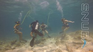 One of the things that make our SNUBA tours so wonderfully unique is that our SNUBA Guests are in the hands of a professionally trained and certified SNUBA Guide for the duration of their tour? Nervous about SNUBA? We get it. But just know you'll be in the best of hands from the moment you're on deck to the second you're below the water's surface. We got this! Book your SNUBA tour today! | SNUBA