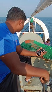 5.7M views · 133K reactions | deep sea fishing  #deepsea #bdfisherman #deepcleaning | BD Fisherman | Facebook