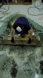 2.8M views · 34K reactions | Cleaning a muddy carpet with a surprising result #satisfyingvideos #cleaning #ASMR #asmrsound #relaxing #fblifestyle | Magnus Rug Cleaning | Facebook